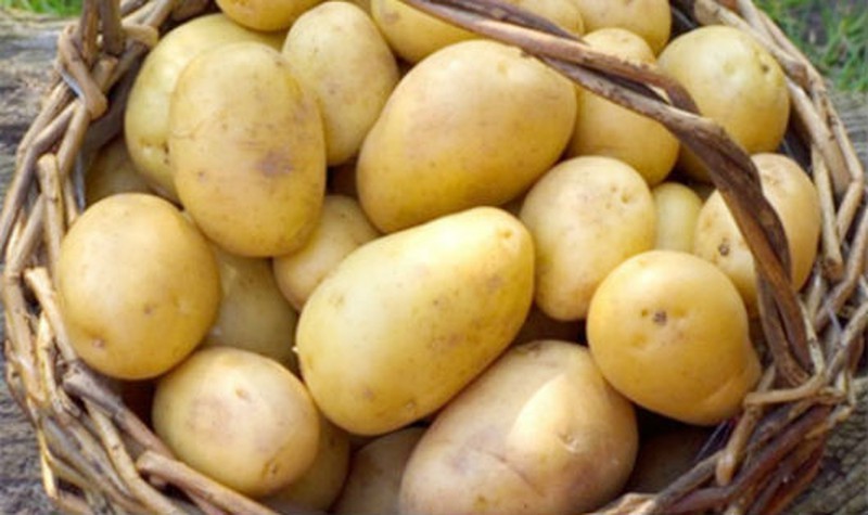 Khoai tây- Công dụng của khoai tây với sức khỏe, các lưu ý khi sử dụng